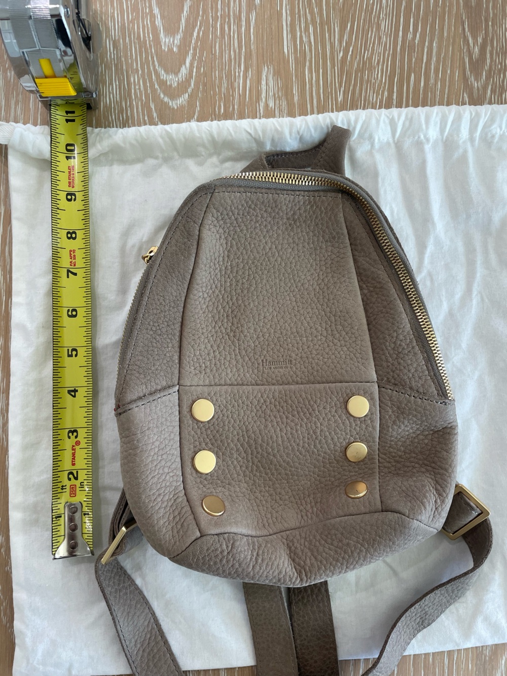 Hammitt Hunter Backpack - Picture 5 of 6